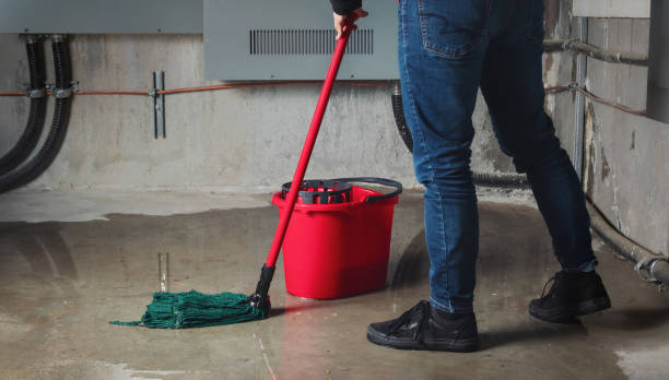 Best Flood damage cleanup  in Alderton, WA